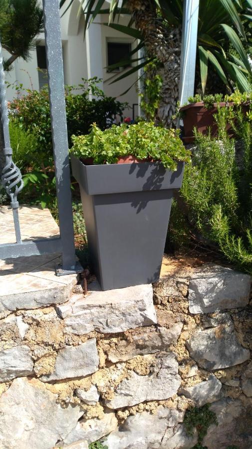 Kornić Apartmani Darko מראה חיצוני תמונה